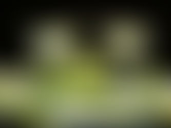 Tekila Tadımı Rehberi: Profesyonel Tadım Nasıl Yapılır?