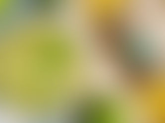 Ünlülerin Tekila Markaları: George Clooney ve Kendall Jenner