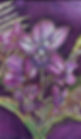 IMG_0417.PNG