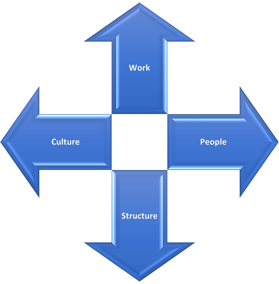 Nadler-Tushman: Are all the four elements pointing toward the same direction?