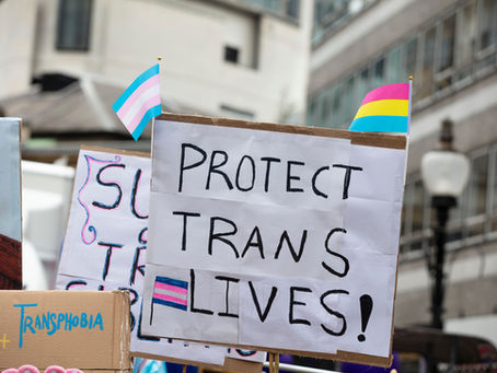 Protest signs with messages "Protect Trans Lives" and anti-transphobia text. Transgender and pansexual pride flags are visible, urban setting.