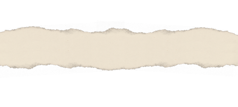 torn strip of paper_thin (1).png