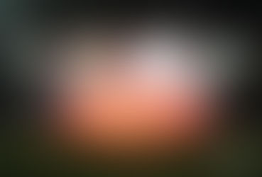 19. SC Austria Lustenau - SV Kapfenberg