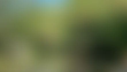 Domaine Pont Roche & Spa : hébergement nature et bien-être en Bourgogne