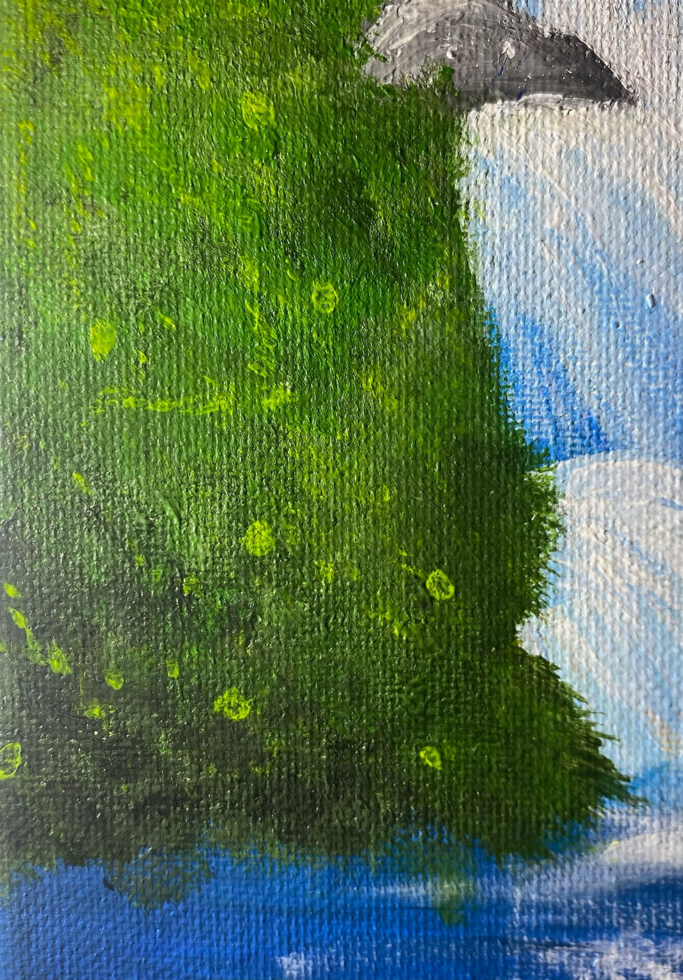 Miniature : Cascade