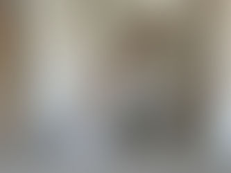 Plâtrerie-peinture d’une villa neuve à Pierre Bénite (69310)