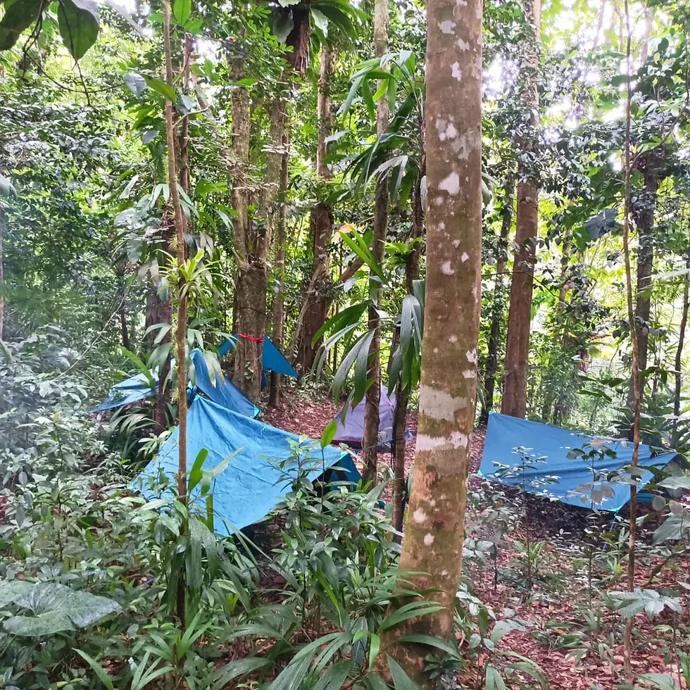 Bivouac Découvertes