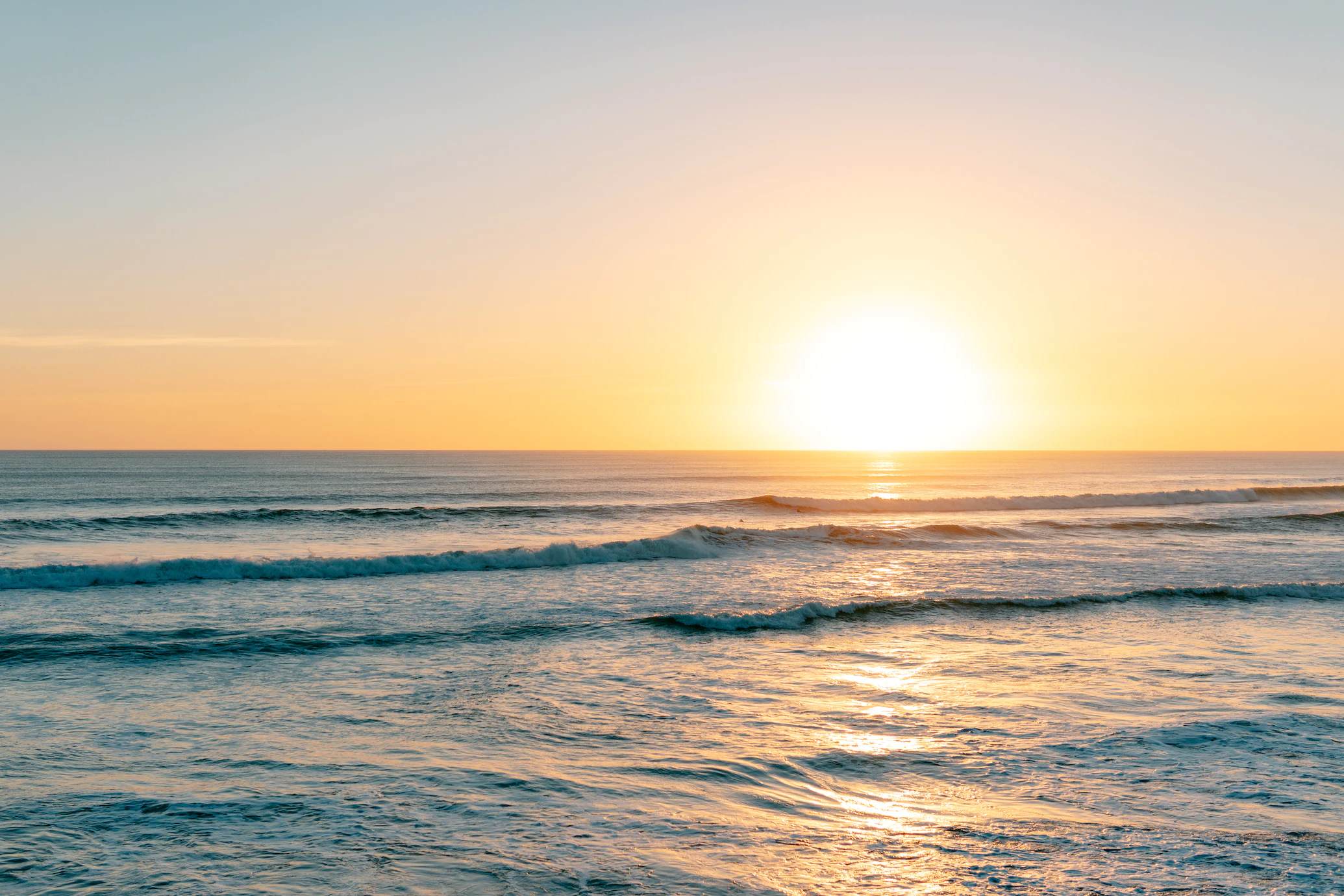 photo-1564224478612-9dedb7387a66.webp
