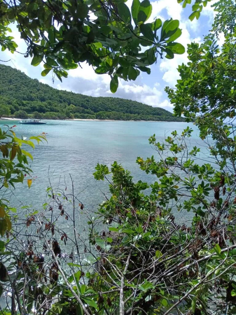Agenda Découvertes - Akwaform Randonnées Guadeloupe, Le sentier Vieux fort Marie Galante