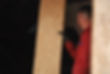 emile_troubadour_05.JPG