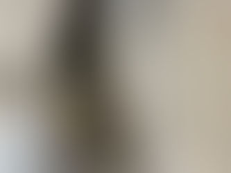 Plâtrerie villa neuve Mions (69780)