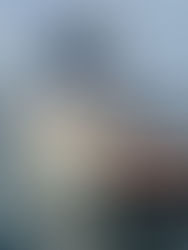 Les erreurs les plus fréquentes lors de l’achat d’un bateau d’occasion