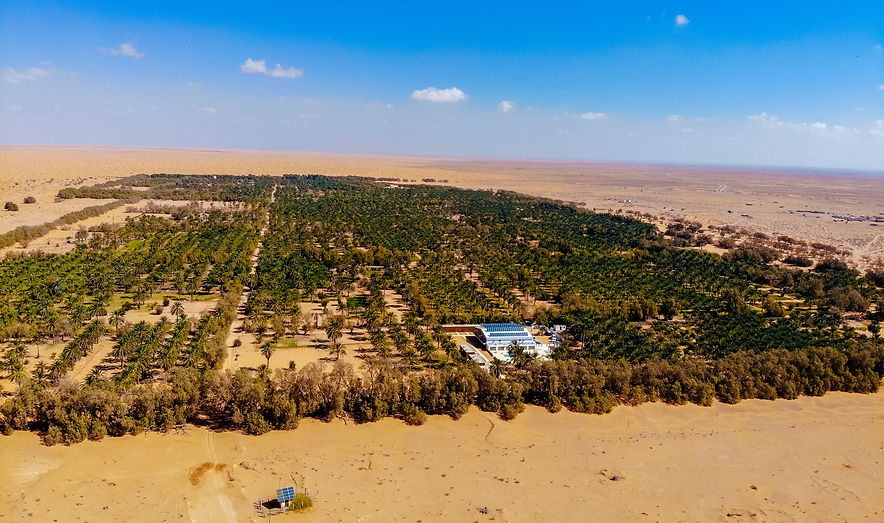 DJI_0393.jpg