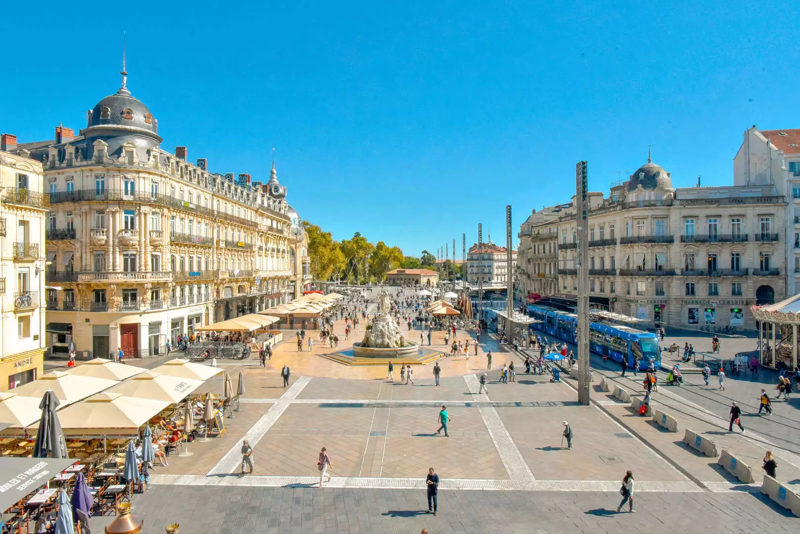 pickles-graphic-montpellier.webp
