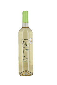 Sauvignon vigne Antique.png.webp