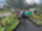 IMG_3626.jpeg