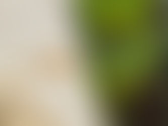 Le passioni parallele di Marco Lazzaroni