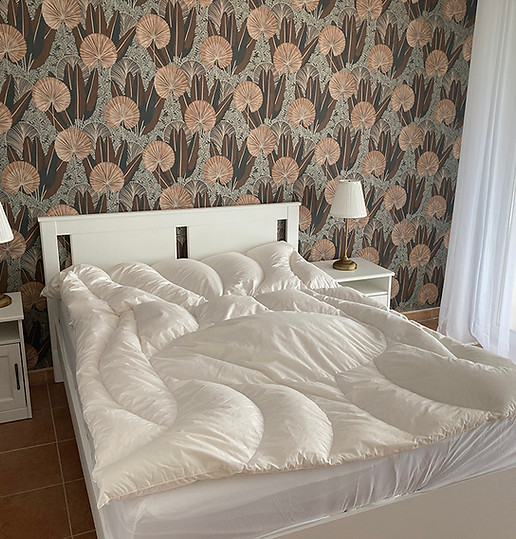 Appartement Lavande : location de vacances Saint-Cézaire-sur-Siagne