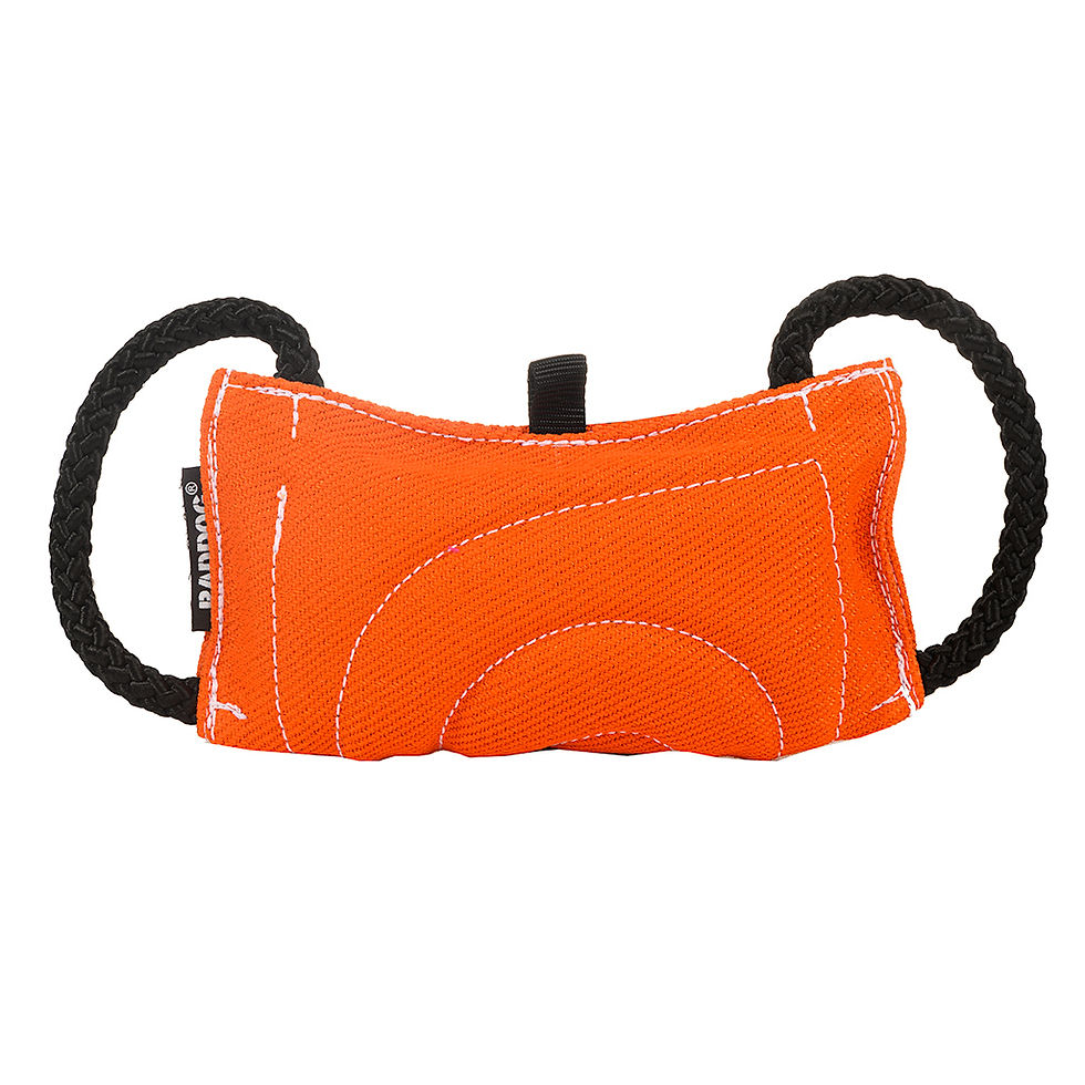 Miniatura: Coussin  de morsure GLOBUS - nylcot