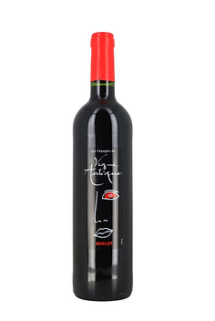 Merlot Vigne Antique.png.webp