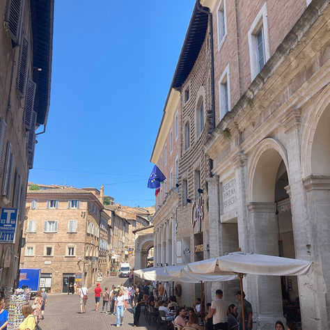 Marches : itinéraires et expériences à découvrir et à savourer