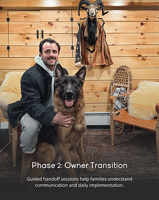 Owner handoff session after Board and Train program Connecticut