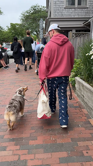 walking-australian-shepherd-loose-leash.jpg