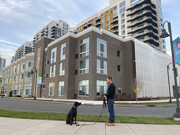 Dog Training Stamford CT