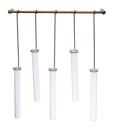 wall mounted test tube vase