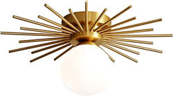 flush mount ceiling light