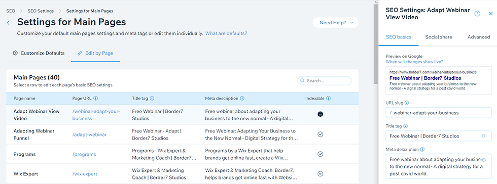 Wix SEO Settings Panel example