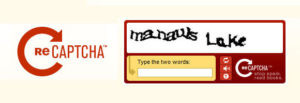 recaptcha