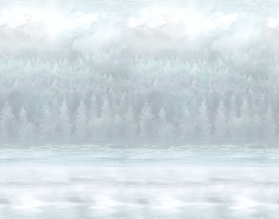 background fabric image - 2 wide.png