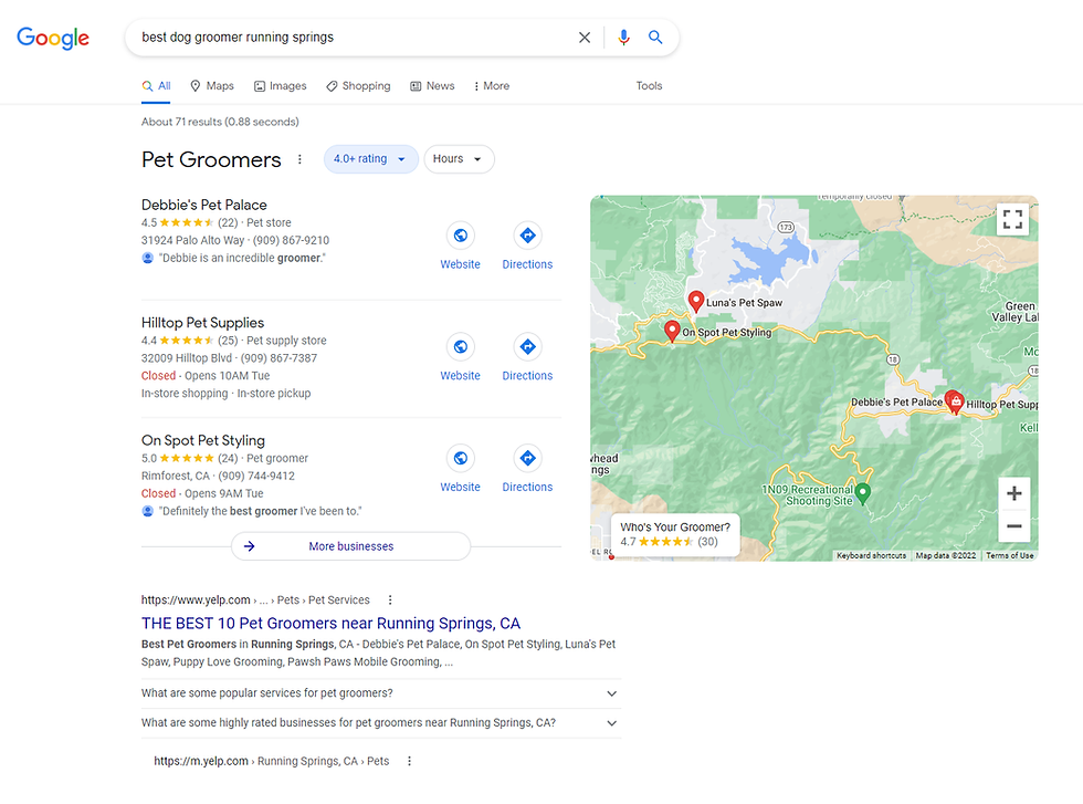Search results for the keyword phrase "best dog groomer running springs."
