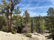 Web Design in Running Springs: Helping Mountain Businesses Grow Online