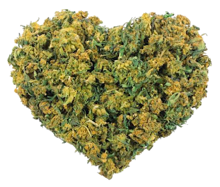Benefits of Hemp CBD Oil