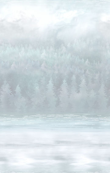 background fabric image.jpg