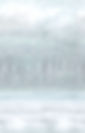 background fabric image.jpg