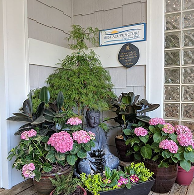Best Acupuncture clinic entrance with flowers and a Buddha.