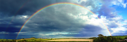 Rainbow.png