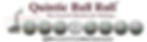 Quintic Ball Roll Certified Level 2.jpg