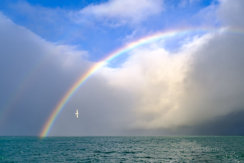 Norwegen, Svalbard, Spitzbergen. 
Regenbogen über dem Forlandsund
