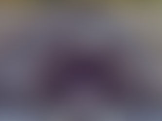 Chartiers interceptor sewer rehabilitation