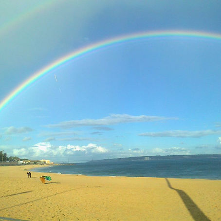 A Primavera que há em nós: quatro passos para a despertar