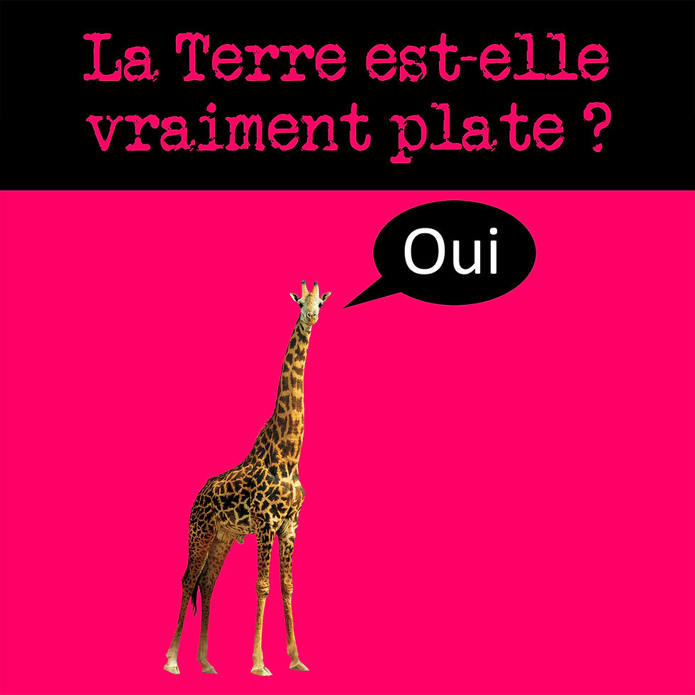 SOIREE 12 de La Sardine Bleue La Terre est elle vraiment Plate?