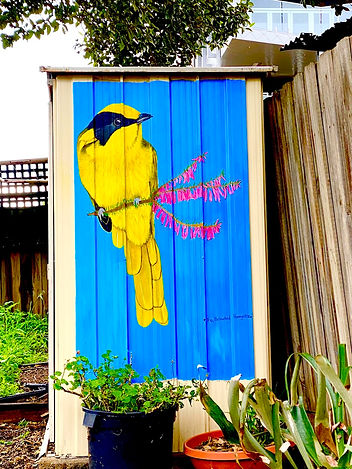 Annie Frances’s first outdoor mural featuring the endangered Helmeted Honeyeater and Victoria’s native flowers, painted to celebrate the beauty and conservation of Australia’s wildlife.