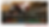 Thumbnail: BRIDGESTONE BATTLAX LINE