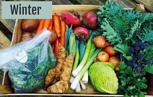 132F0004-E4B4-45BA-B27B-B7DC7F7BF56D(1)_