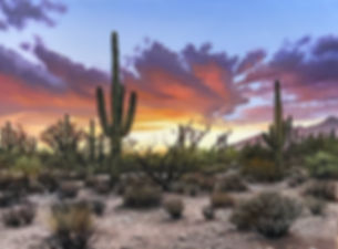 “Saguaro Sunset” Sold at Night of the Artists Briscoe Museum