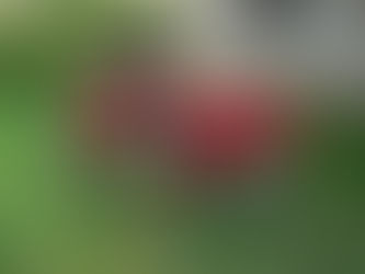 Peter Calles life style...